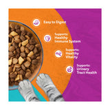 Whiskas Surf & Turf dry cat food 1.9kg, UK version