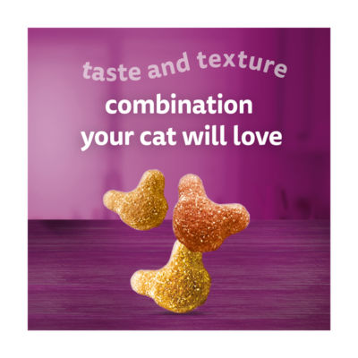 Whiskas Crunch Tasty Topping adult cat treats 100g - British product