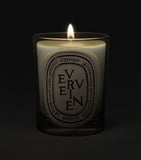 Diptyque Verveine candle 190g (British brand)
