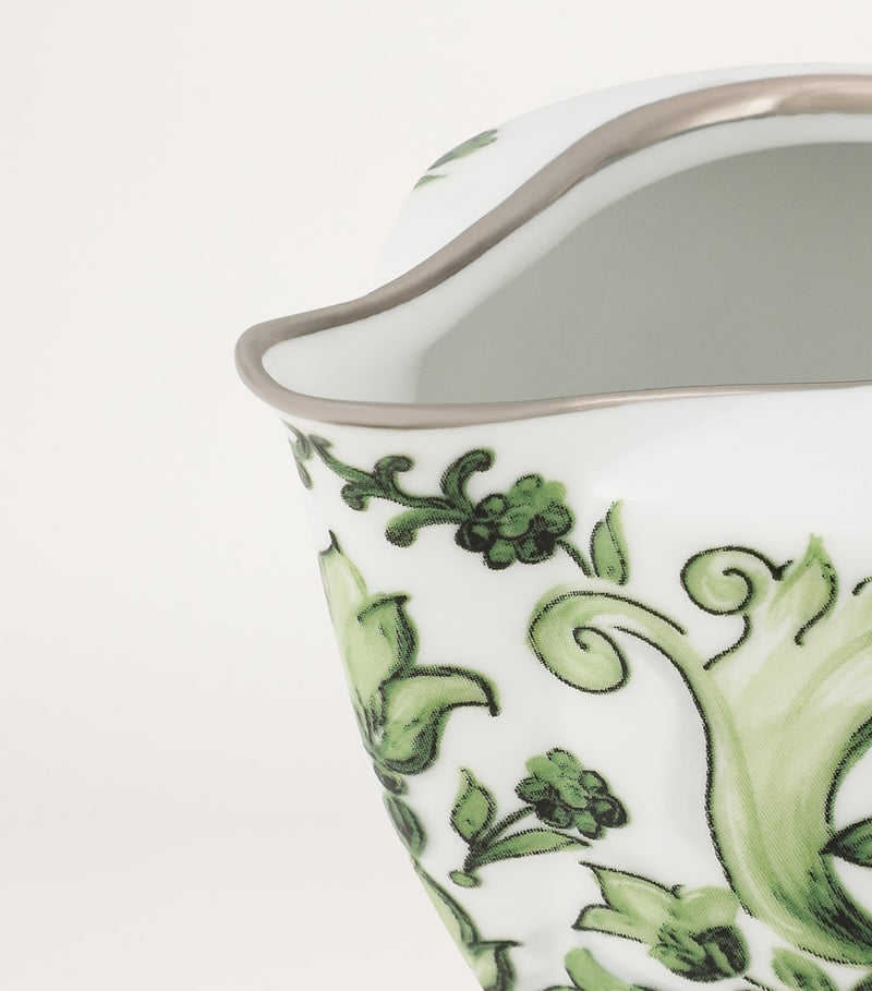 Dolce&Gabbana porcelain Majolica creamer 8.5cm - British product