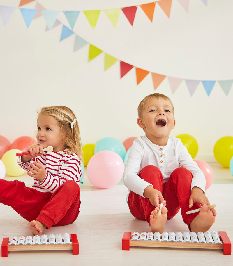 Janod musical set Confetti timber instruments (British brand)