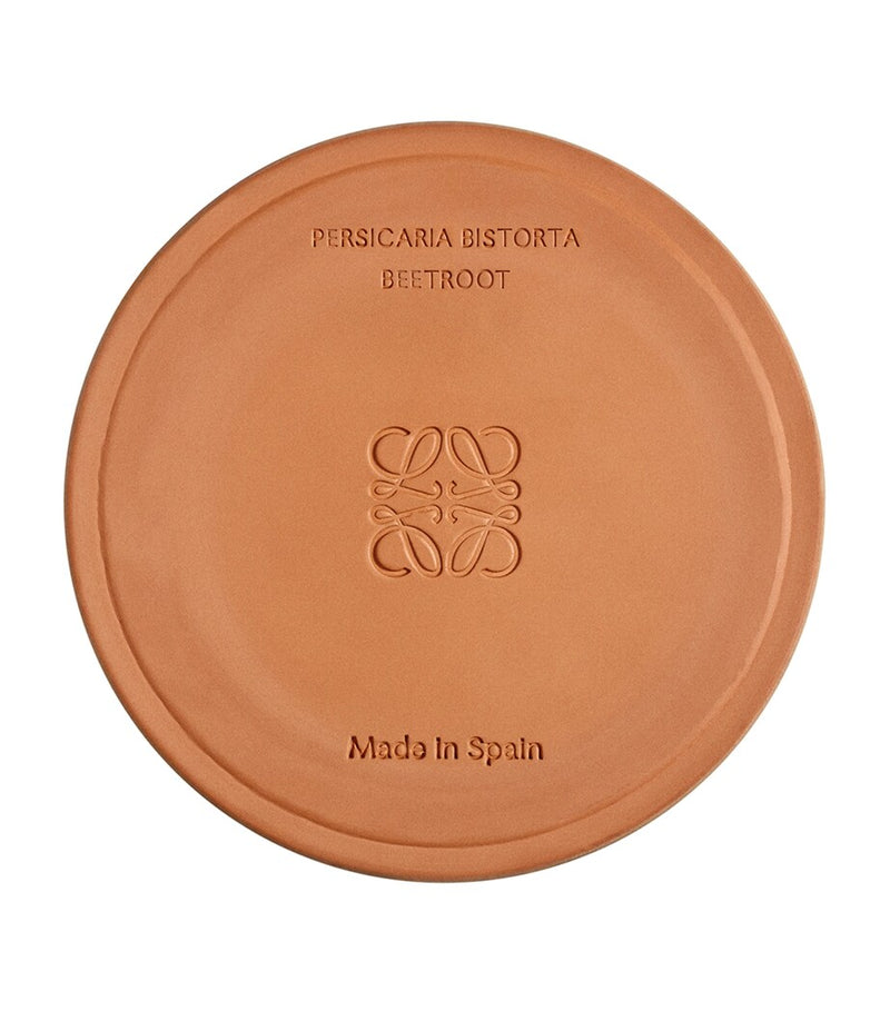LOEWE Medium Beetroot Scented Candle, UK version