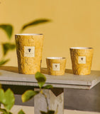 Baobab Dove scented candle 6kg - British product