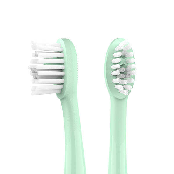 Ordo Sonic Brush Head Mint Green 4 pack, imported from the UK