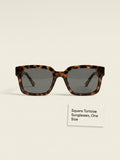 Celine square acetate sunglasses CL40304U 56mm, imported from the UK