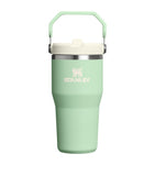 Stanley Iceflow Flip Straw Tumbler 0.6L (British brand)