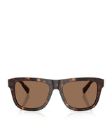 Harrods Dolce&Gabbana Acetate Square Sunglasses- Buy online at McGrocer