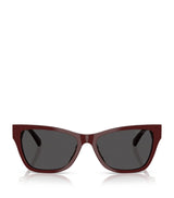 Harrods Jimmy Choo JC5024HU Sunglasses- Buy online at McGrocer