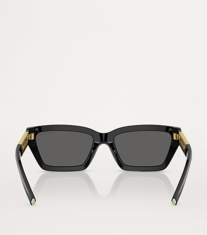 Tiffany & Co. acetate rectangular sunglasses model 0TF4213 (British brand)