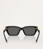 Tiffany & Co. acetate rectangular sunglasses model 0TF4213 (British brand)