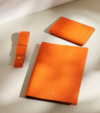 Harrods leather passport holder H14cm, imported from the UK