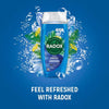 Radox Feel Awake 2-in-1 Shower Gel and Shampoo 225ml - British product