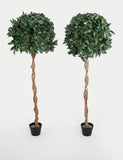 BLOOMA artificial bay trees 5ft set of 2 (British brand)