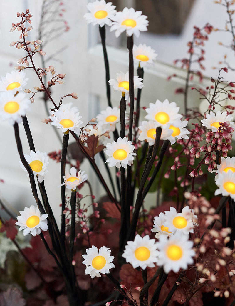 LED daisy pathfinder lights set of 5 (British brand)