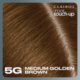 Clairol Root Touch-Up hair dye Medium Golden Brown 5G, UK version