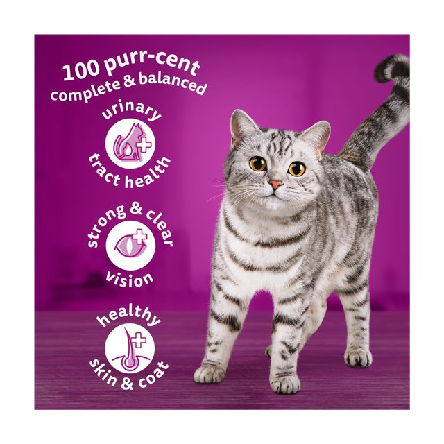 Whiskas 1+ Adult Dry Cat Food with Salmon 800g GOODS M&S