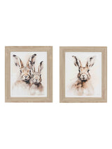 Next Gallery Home Brown Woodland Wonders Framed Canvas Set of 2- Buy online at McGrocer