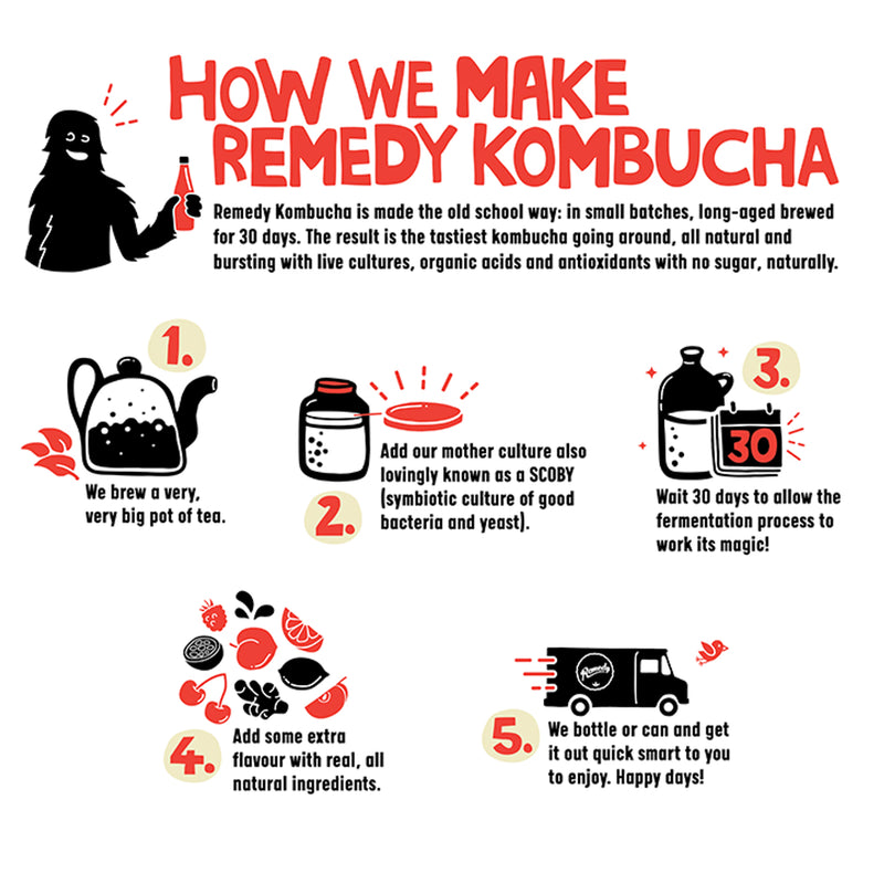 Remedy Kombucha Ginger Lemon 250ml (British brand)