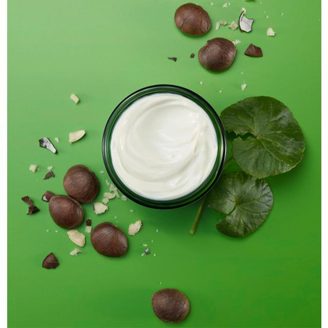 Weleda Skin Food Nourishing Night Cream   40ml GOODS M&S
