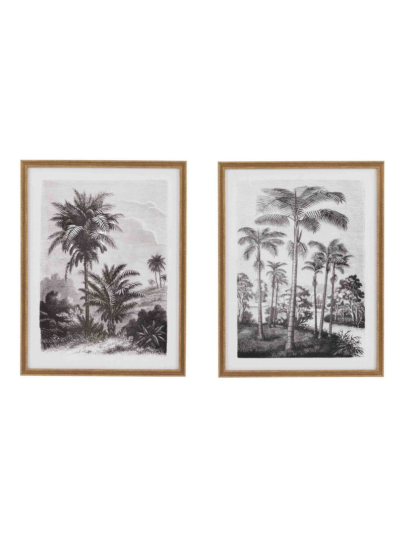 Gallery Home multicoloured botanical framed art set - British product
