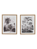 Gallery Home multicoloured botanical framed art set - British product