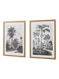 Gallery Home multicoloured botanical framed art set - British product