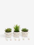 Set of 3 green artificial dangly succulents in character pots (British brand)