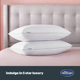 Silentnight medium pillow 2 pack L45x69cm (British brand)