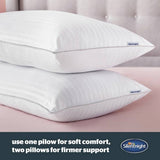 Silentnight medium pillow 2 pack L45x69cm (British brand)
