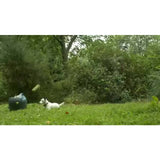 PetSafe automatic ball launcher dog toy, UK version