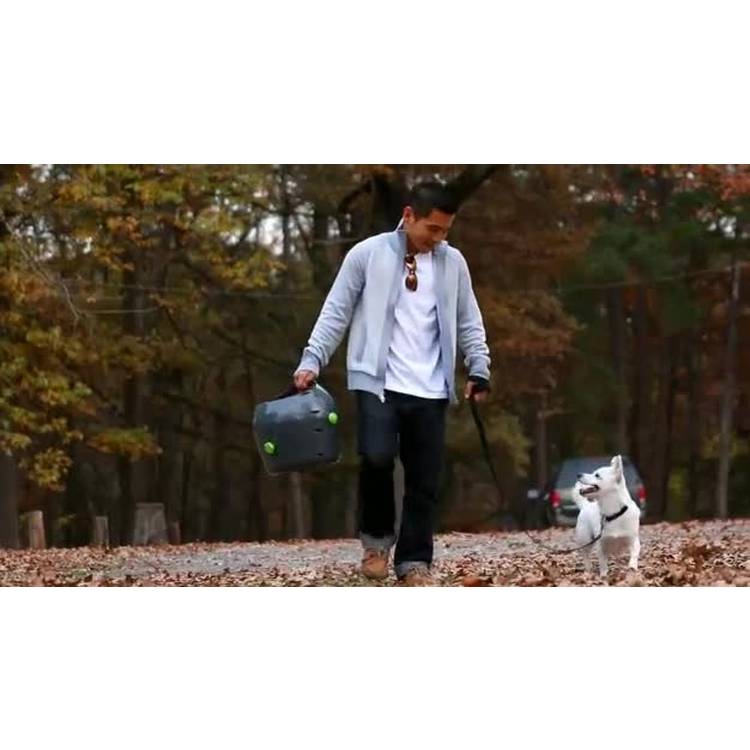 PetSafe automatic ball launcher dog toy, UK version