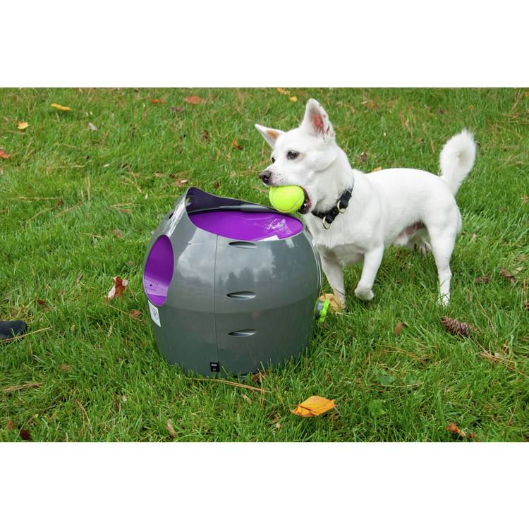 PetSafe automatic ball launcher dog toy, UK version