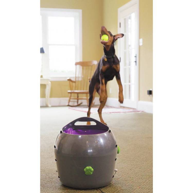 PetSafe automatic ball launcher dog toy, UK version