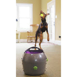 PetSafe automatic ball launcher dog toy, UK version