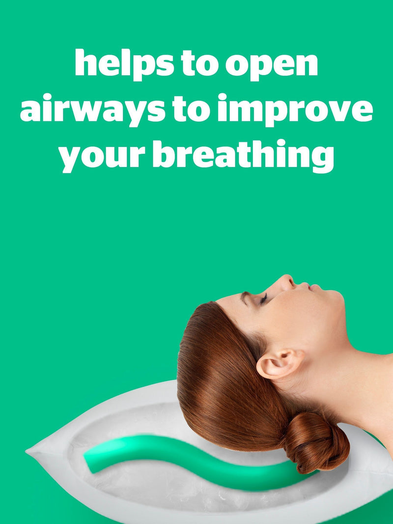 Silentnight Medium Anti-Snore Pillow (British brand)