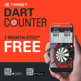 Target Phil Taylor 23g tungsten darts set (British brand)