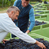 The Uncommon English Rose Spritzer Multipack 4 x 250ml GOODS M&S