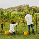 The Uncommon English Bubbly White Wine Multipack 4 x 250ml GOODS M&S