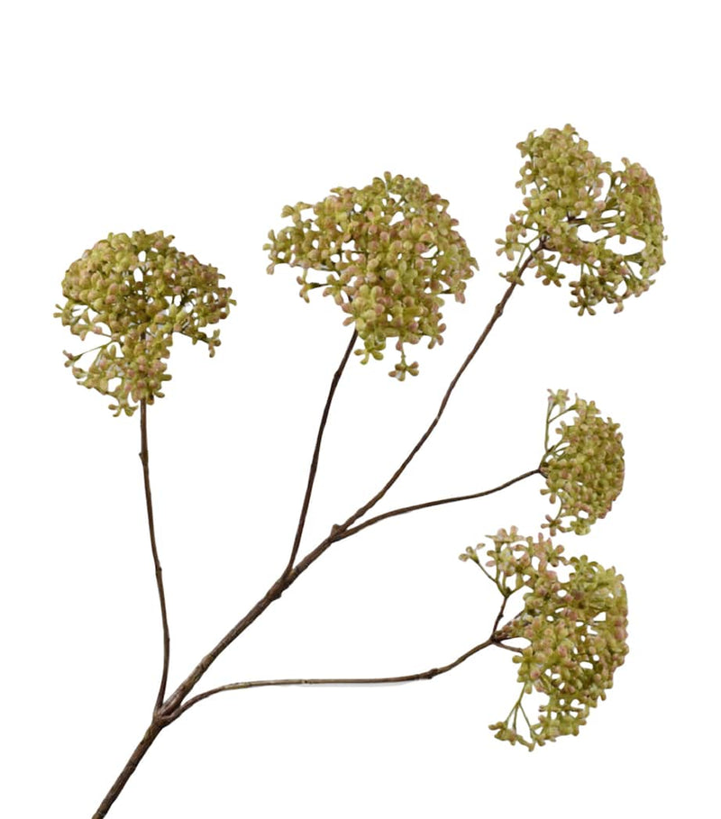 Silk-Ka Queen Anne's Lace artificial flower (British brand)