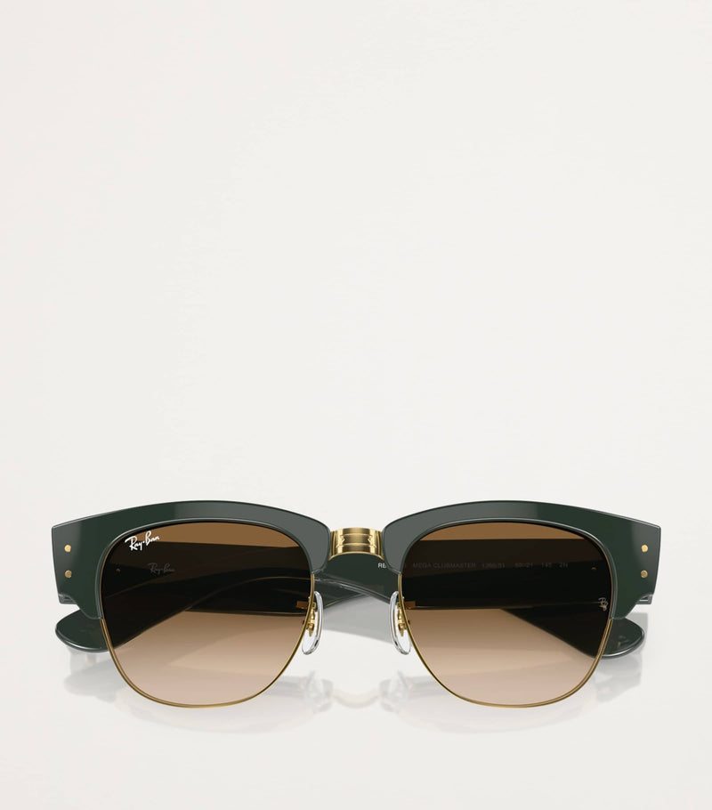 Ray-Ban Propionate 0RB0316S sunglasses - British product