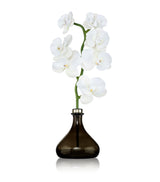 Harrods Senti The Orchid Amber and Oud Reed Diffuser 250ml- Buy online at McGrocer