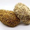 SpongeBox Honeycomb Luxe sea sponge 6-6.5 Inches - British product