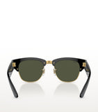 Ray-Ban Propionate sunglasses 0RB0316S - British product