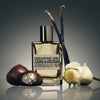 Zadig & Voltaire This Is Really Her Intense perfume, imported from the UK