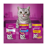 Whiskas Dentabites chicken cat dental treats - British product