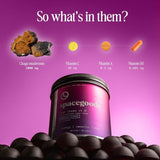 Spacegoods Immunity Chaga Mushroom Star Chews blueberry flavour gummies (British brand)