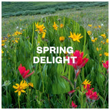 Airwick air freshener Spring Delight 250ml - British product