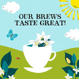 Clipper medium roast freeze-dried instant coffee 100g - British product