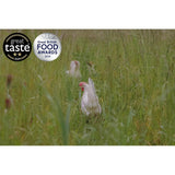 Packington Free Range White Eggs 12 per pack, imported from the UK