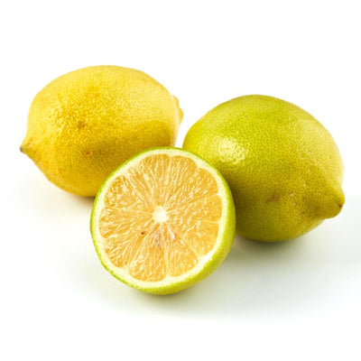 Natoora Italienische Bio-unbehandelte Zitronen, frische Frucht, 2er-Pack